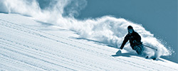 fiveforty image